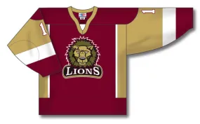 Athletic Knit Custom Made Hockey Jersey Design 803