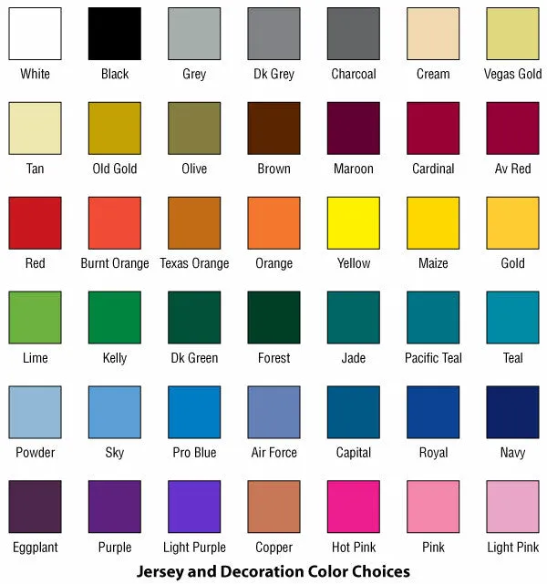Athletic Knit Custom Sublimated Full Button Softball Jersey Design 1109