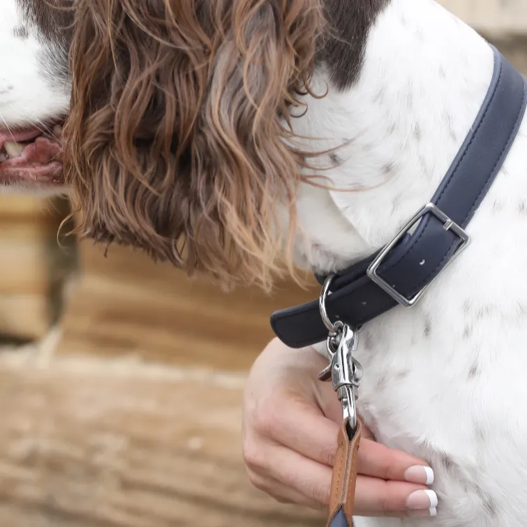 Billie Dog Collar - Dark Navy