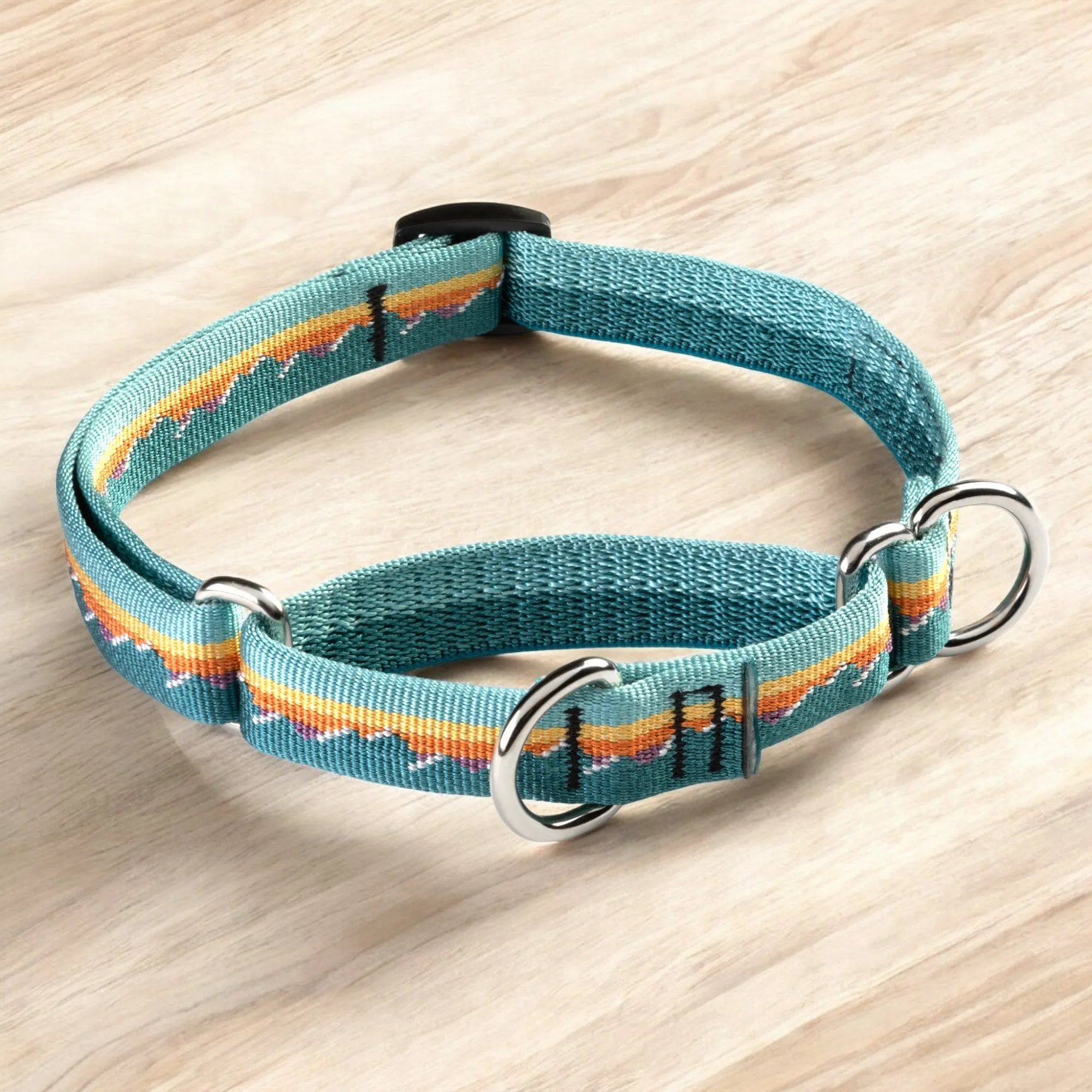 Classic Martingale Training Collar