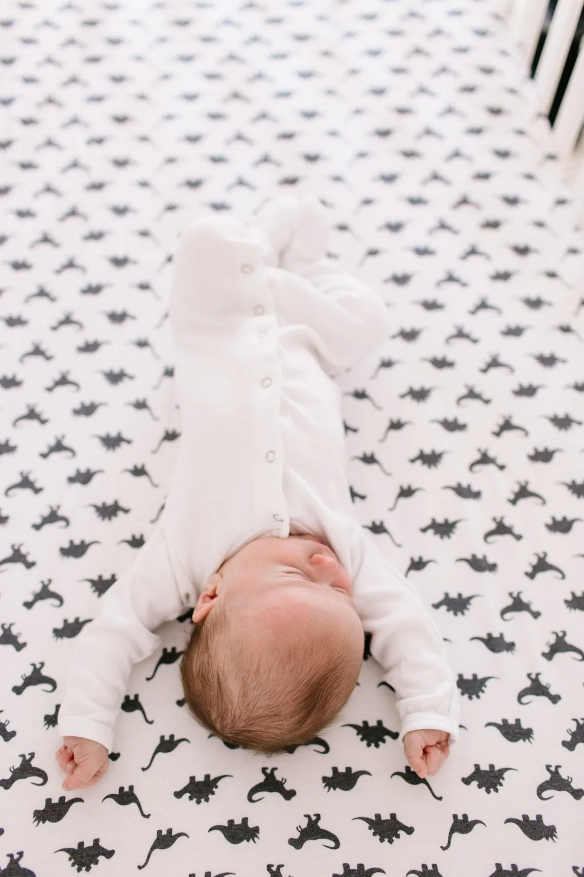 Copper Pearl Premium Knit Fitted Crib Sheet | Wild