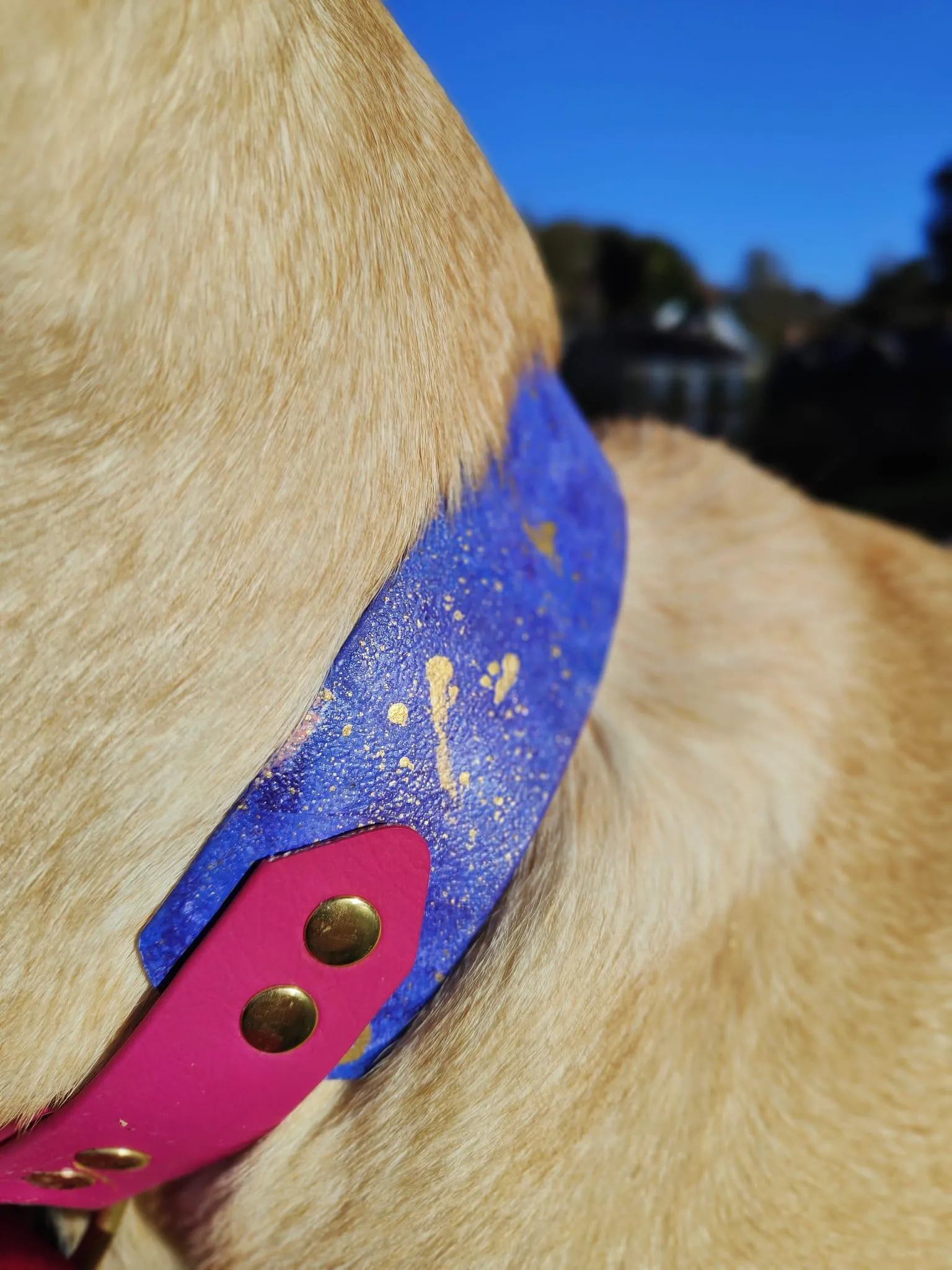Galaxy collar