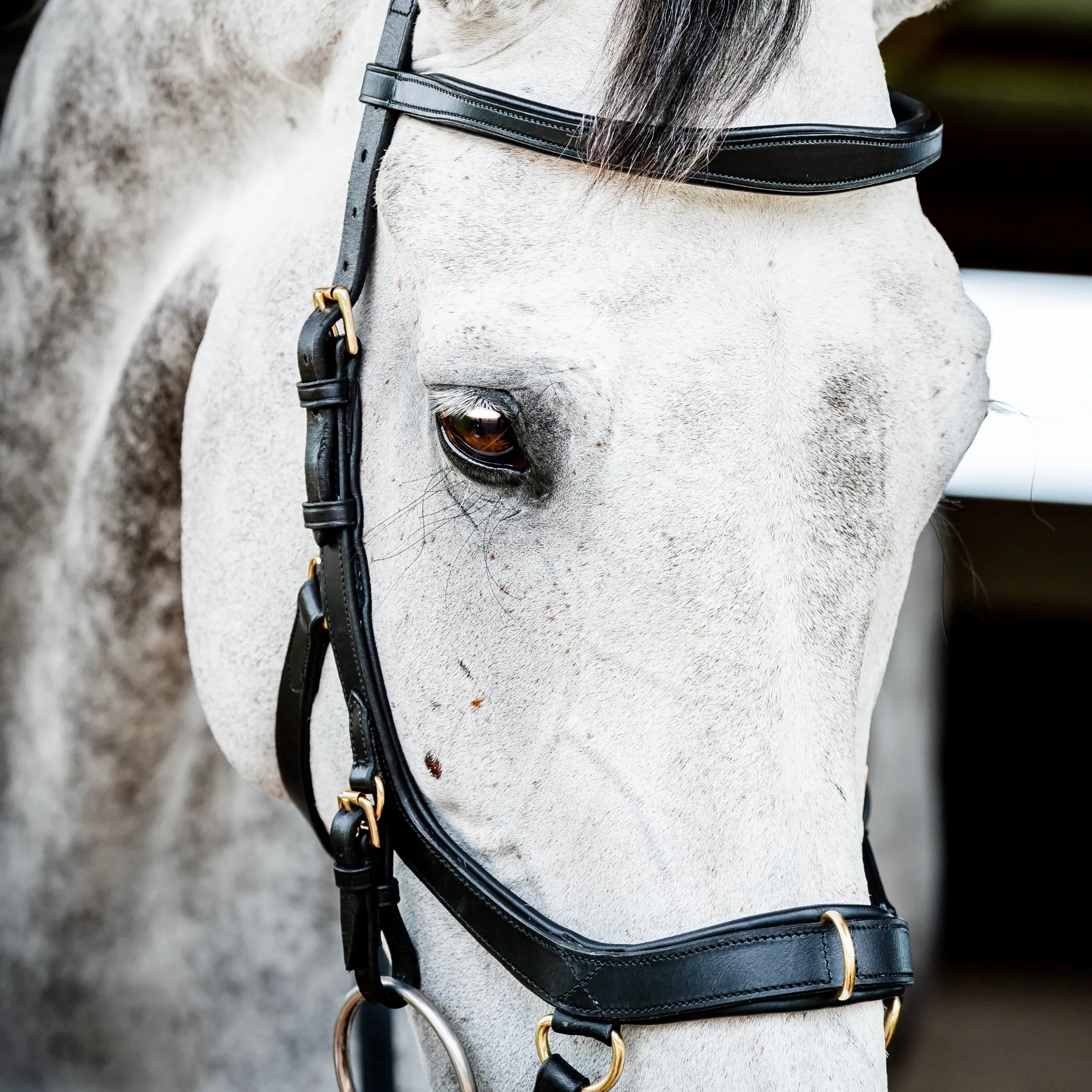 Horseware Micklem 2 Multi-Bridle