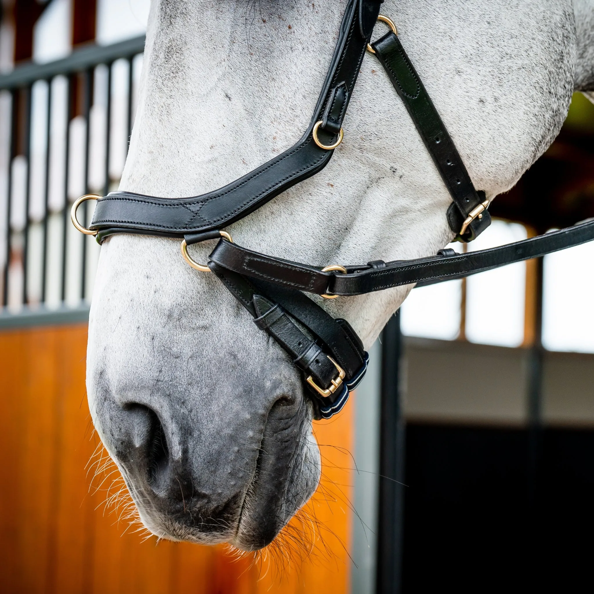 Horseware Micklem 2 Multi-Bridle