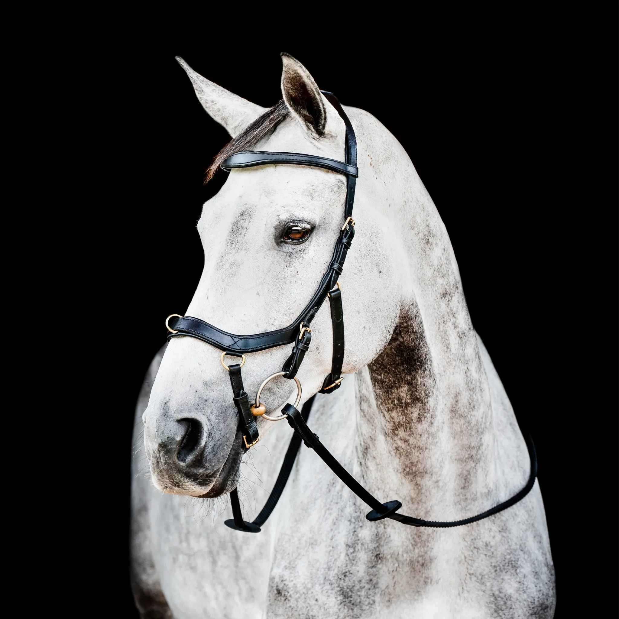 Horseware Micklem 2 Multi-Bridle