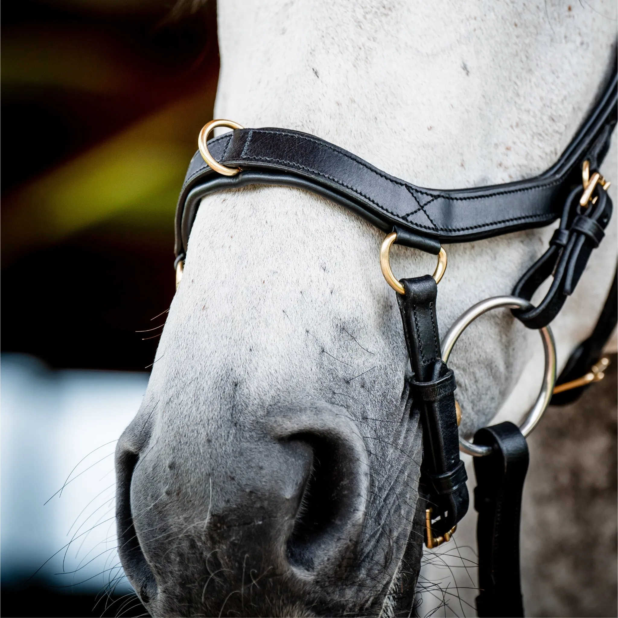 Horseware Micklem 2 Multi-Bridle