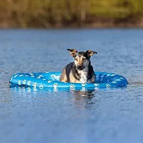 Inflatable Dinghy For Dogs