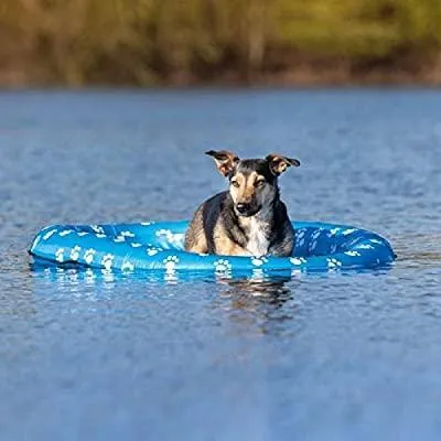 Inflatable Dinghy For Dogs