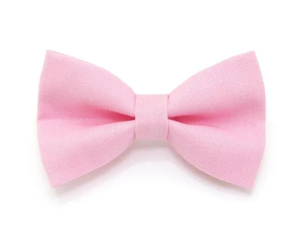 Kitten Collar  - Pink