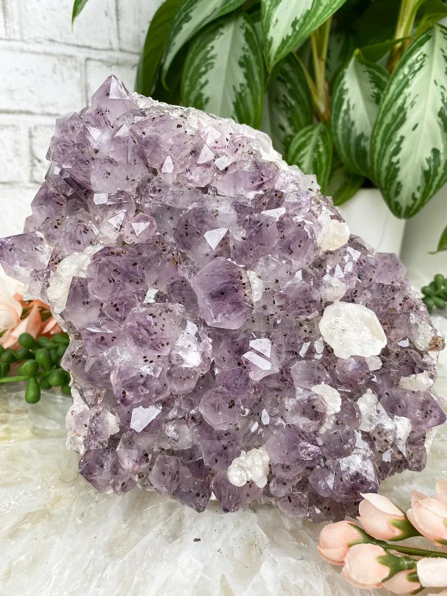 Large Amethyst Clusters