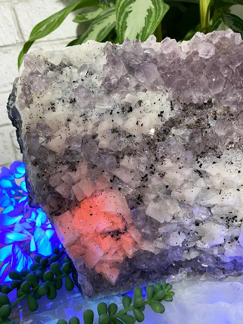 Large Amethyst Clusters