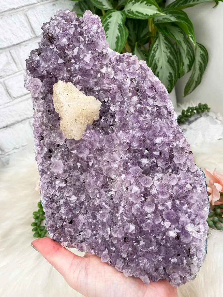 Large Amethyst Clusters