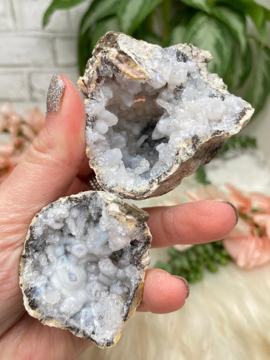 Mexico Trancas Geodes