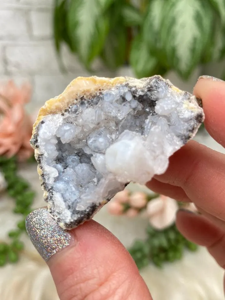 Mexico Trancas Geodes