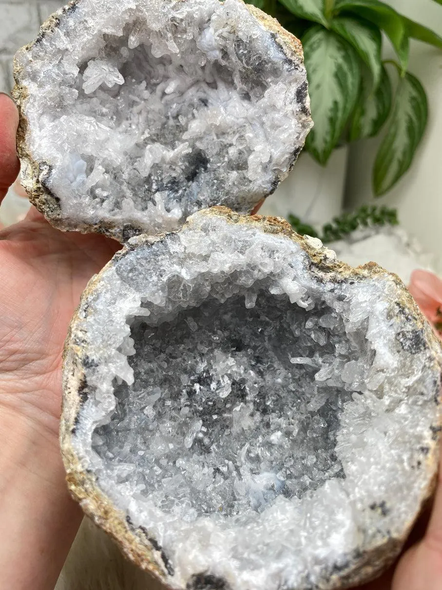 Mexico Trancas Geodes