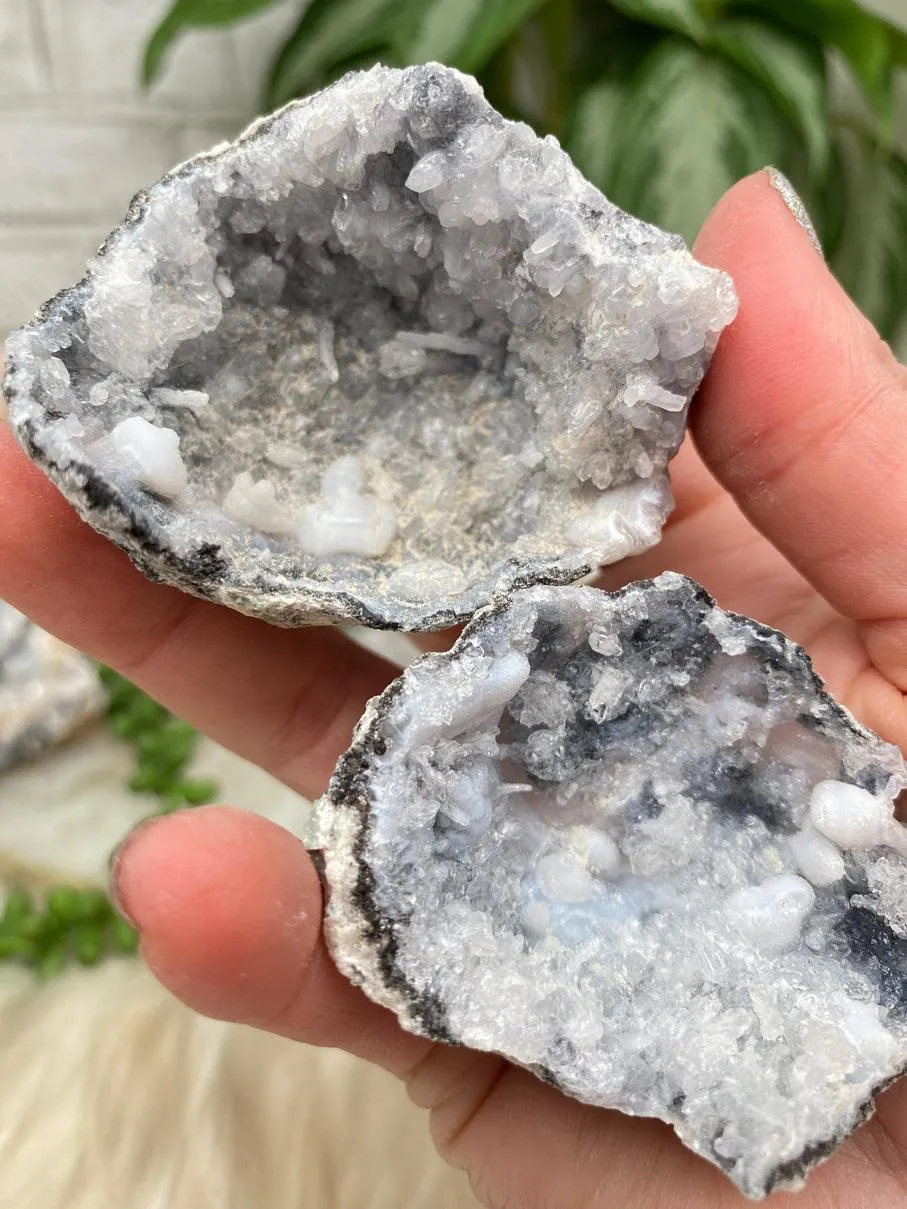 Mexico Trancas Geodes