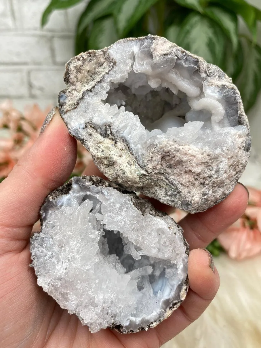 Mexico Trancas Geodes