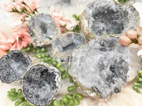 Mexico Trancas Geodes