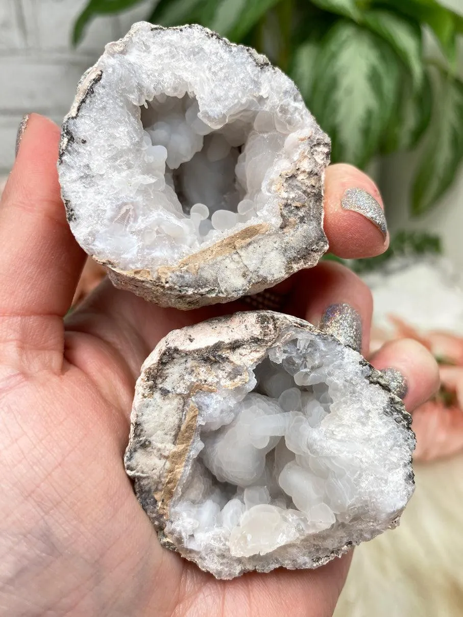 Mexico Trancas Geodes