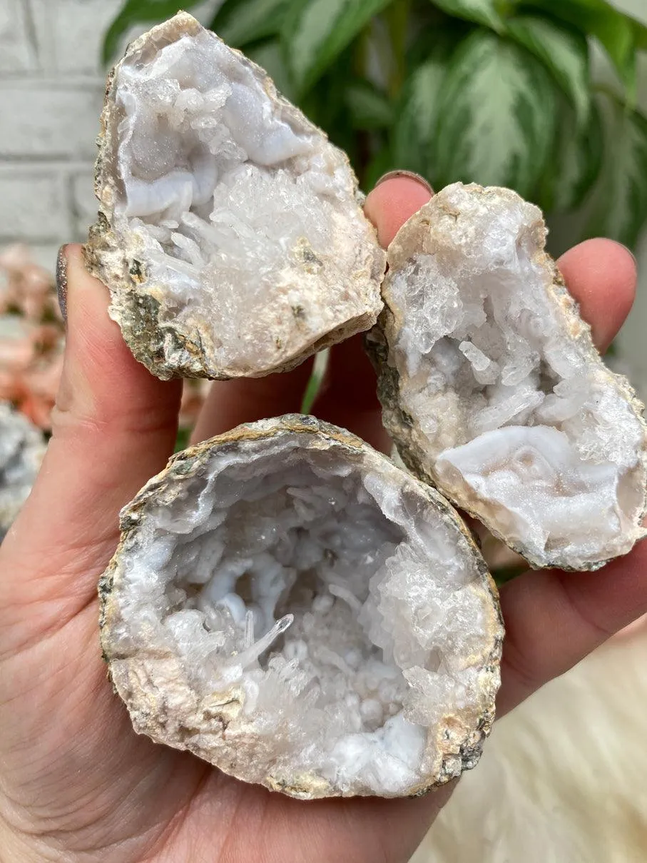Mexico Trancas Geodes