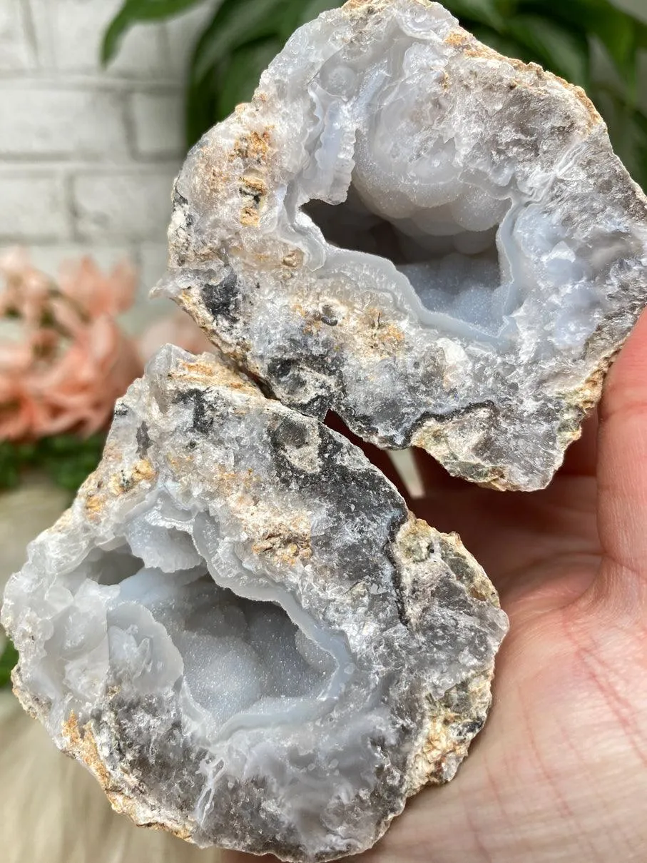Mexico Trancas Geodes