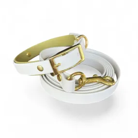 Olivia Dog Collar Walk Set