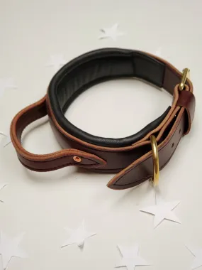 Padded Leather Collar with Flexible handle (Pre- ORDER!)