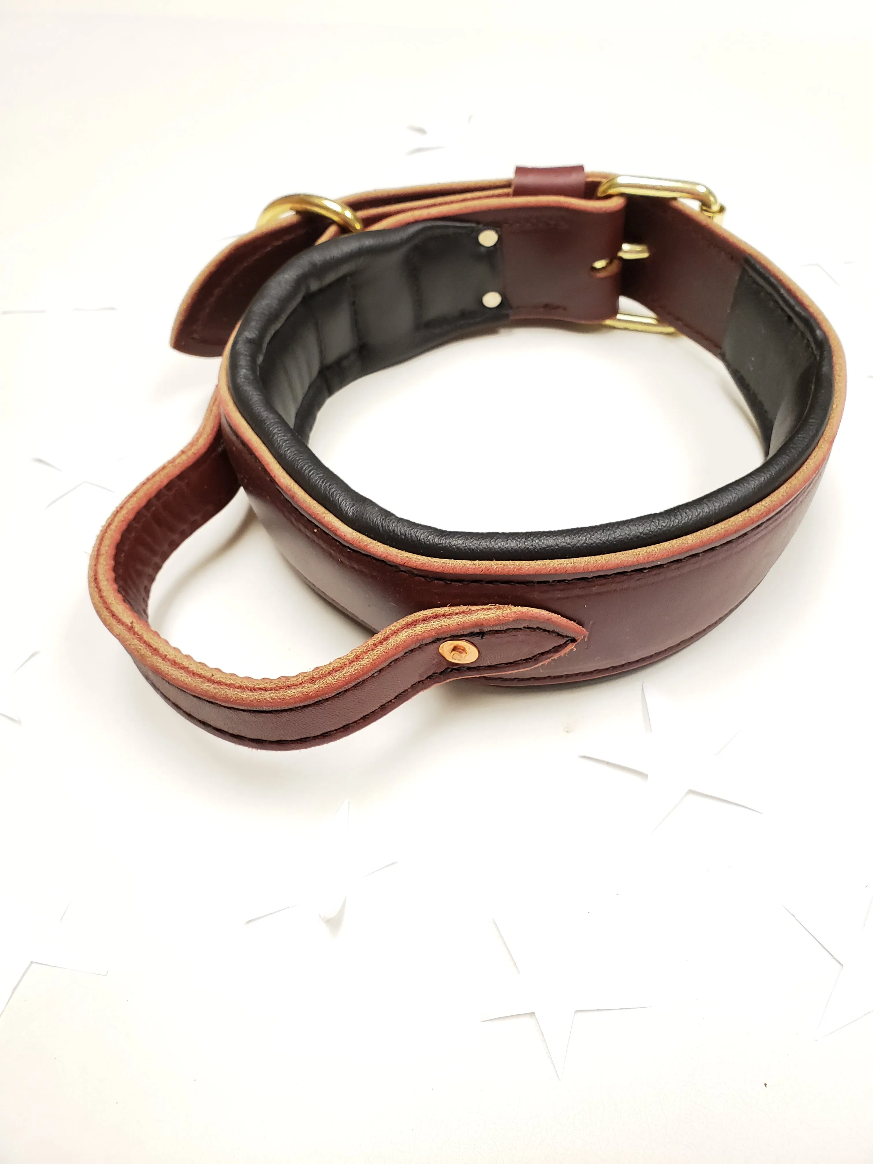 Padded Leather Collar with Flexible handle (Pre- ORDER!)