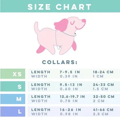 PAWSOME DOG COLLAR - #13