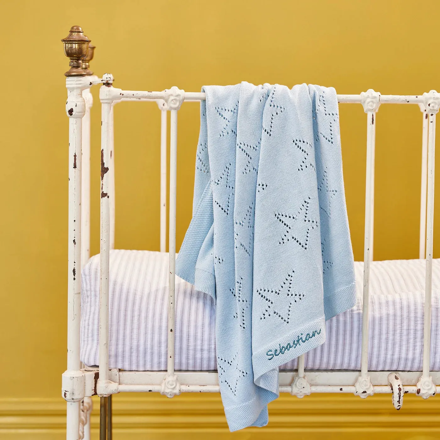 Personalised Blue Forrest Frog Bundle