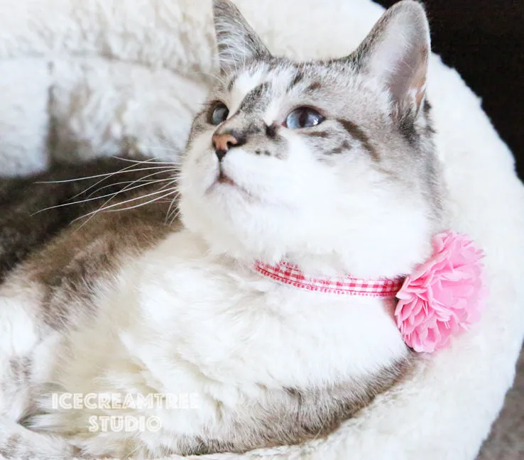 PomPom Peach Bloom Collar Slide On - Small Flower Collar Accessory
