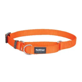 Red Dingo Martingale Half Check Orange Dog Collar (4 Sizes)