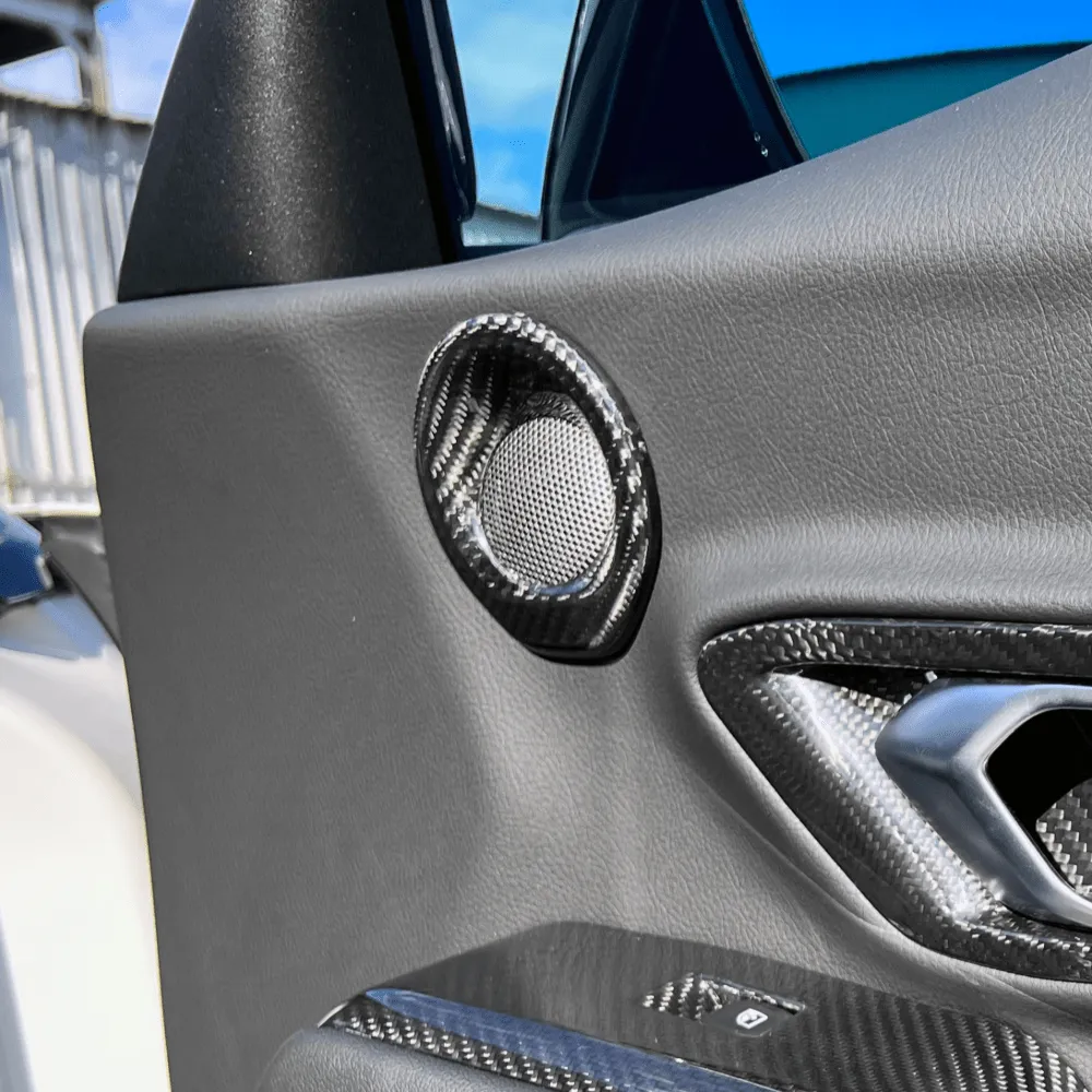 Rexpeed Dry Carbon Fiber Door Speaker Covers (MK5 Supra)