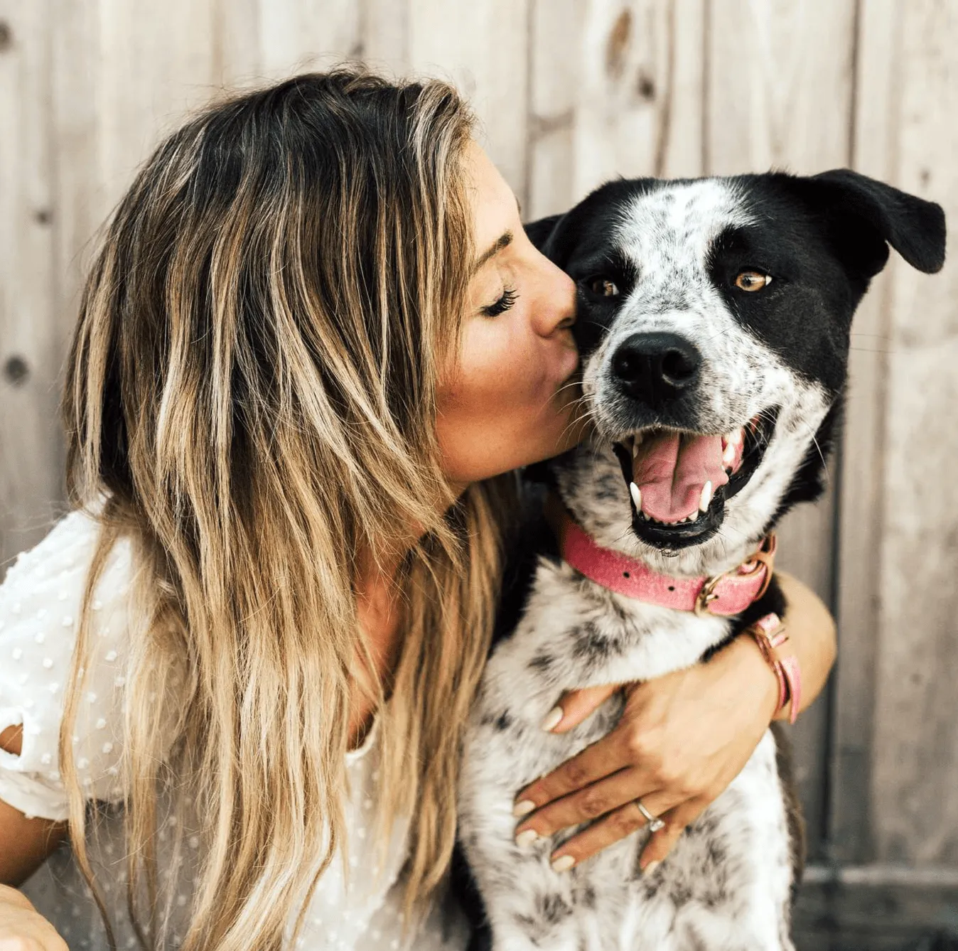 THE SPARKLING PUP COLLAR COLLECTION