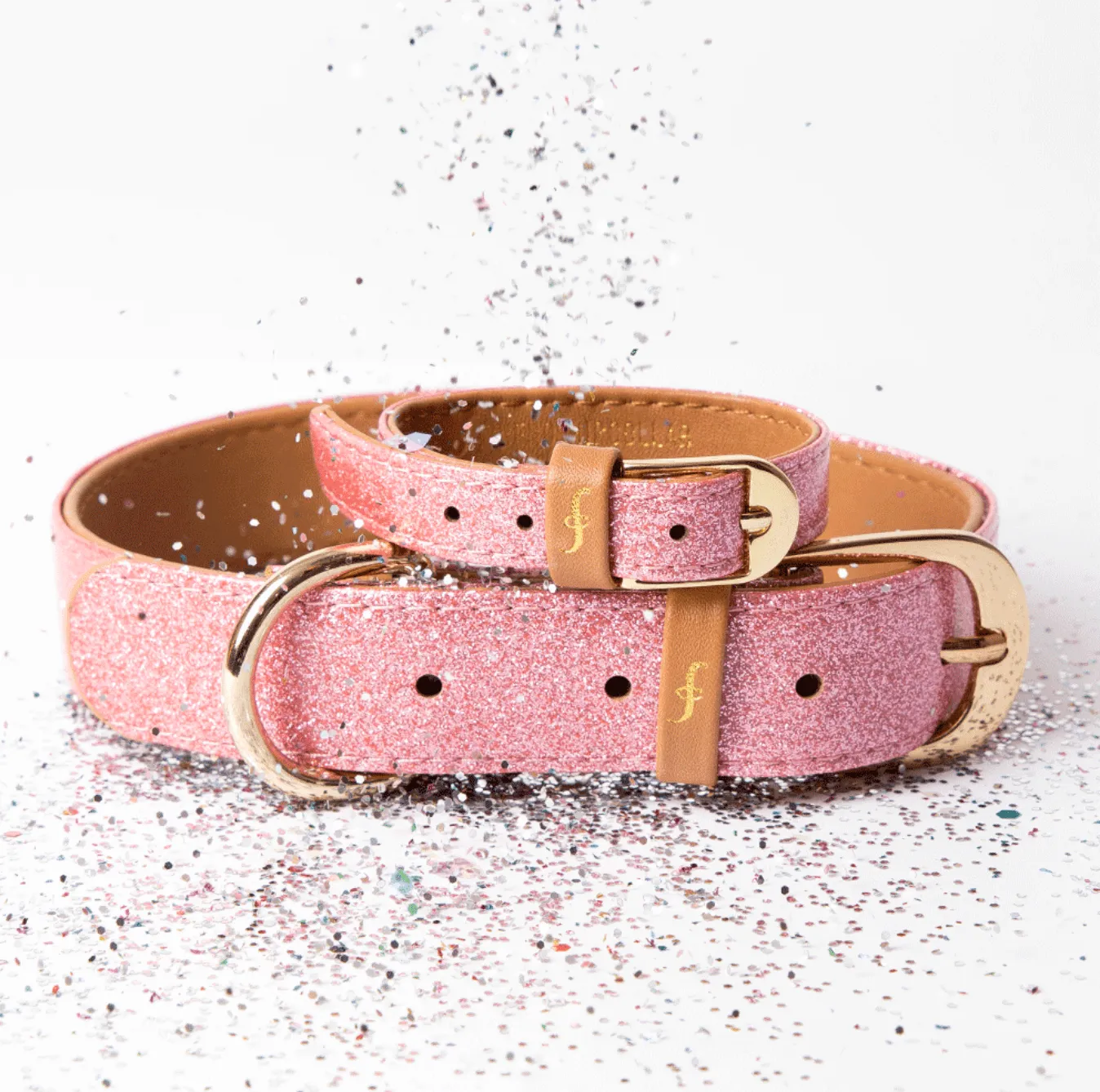 THE SPARKLING PUP COLLAR COLLECTION